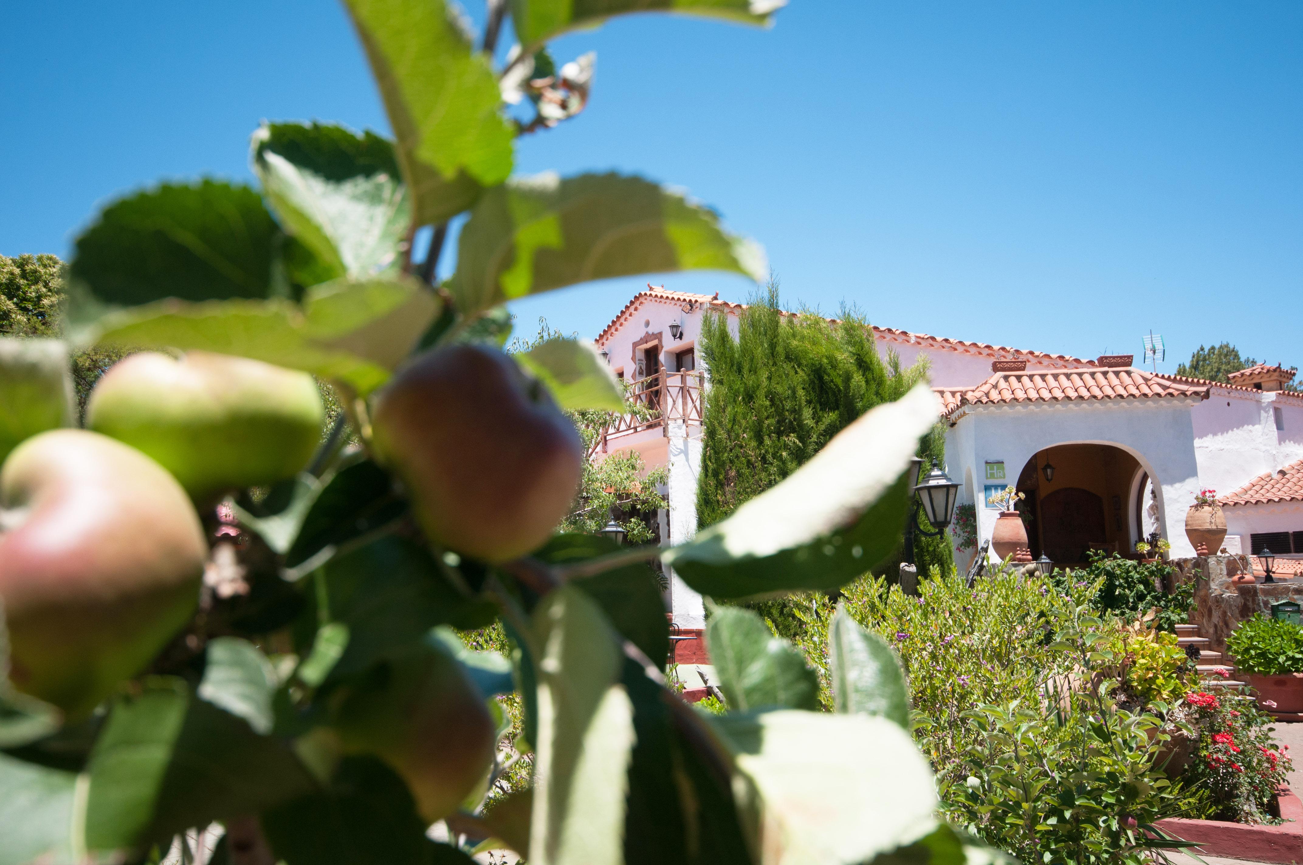 Rural El Refugio - Adults Only 3*