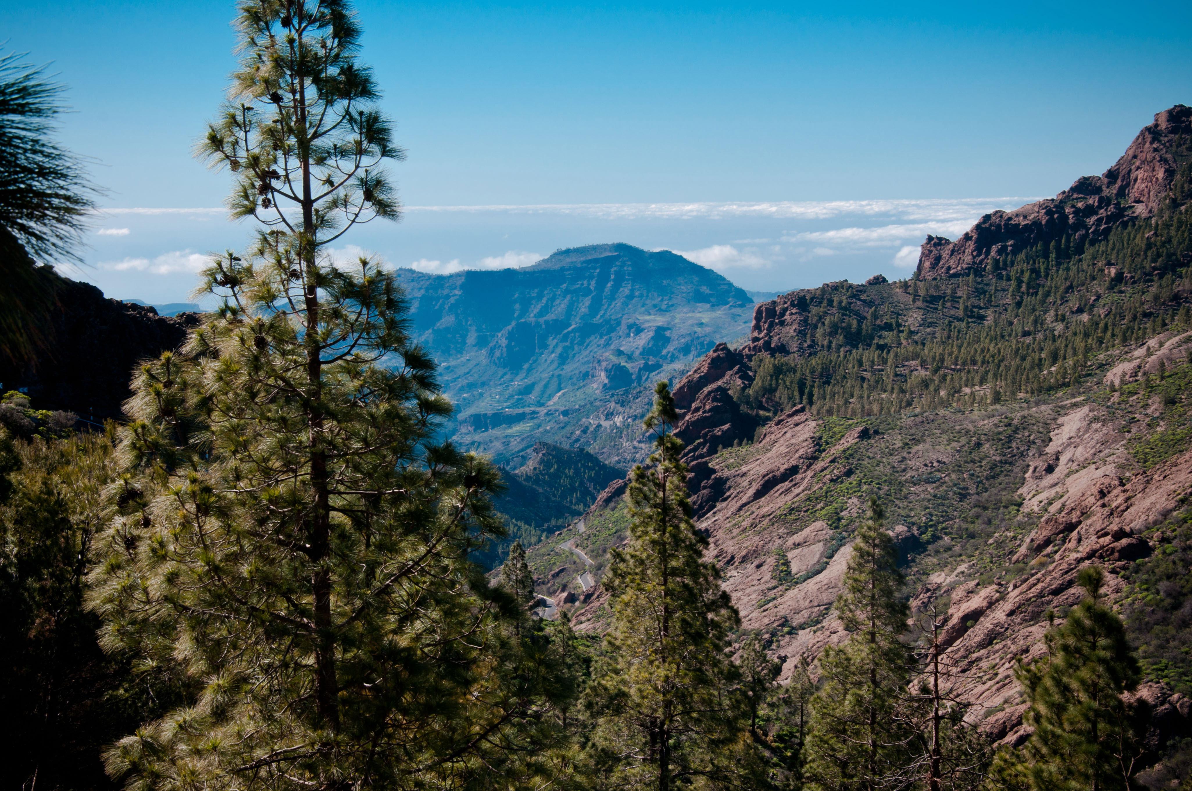 Rural El Refugio - Adults Only 3* Tejeda (Gran Canaria)
